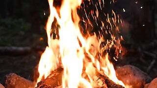 Campfire crackling sounds for sleeping 10 hours| cozy fire no ads