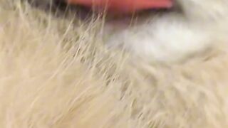 Cat Watching a Horror Movie! 2