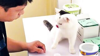 Cat Sleeping with its Tongue Out! 2
