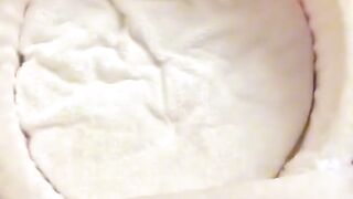 Cat Bringing Me Weird Gifts! 3