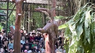 At the zoo