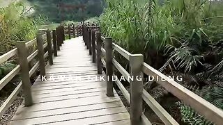 Kawah sikidang in indonesia