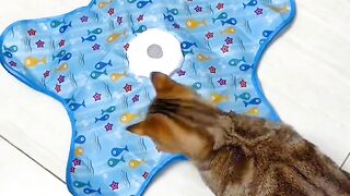 Cat Discovers the Printer! 😂 3