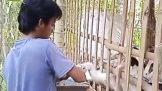 Feeding My Hungry Duck