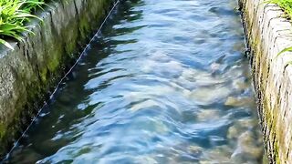The clear water in drainage