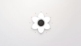 Elegant White Flower Minimalist Animation