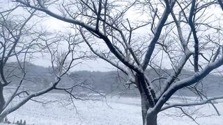 shiga prefecture snow