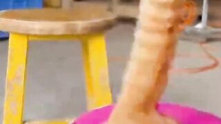 because he fell into pink paint! 🎨🐈 Poor guy, but his face is so adorable! 😅