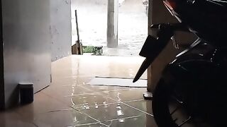 Asmr rain