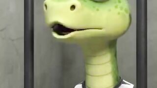 Funny video