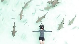 Unforgettable Encounters: Swimming with Reef Sharks in Raja Ampat