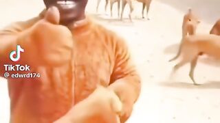 Meme funny video 4