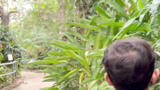 Exciting Dinosaur Park Walkthrough with the Little One