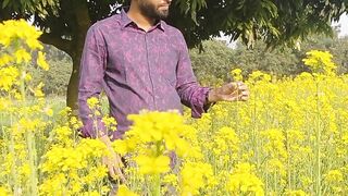 Shorisha khete ekdin | yellow mastard field