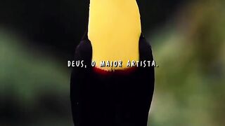 Deus o maior artista