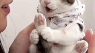 Cat Gagging at the Smell of Coffee!