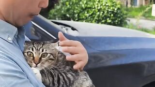 Cat Stealing a Broccoli Floret! 🥦