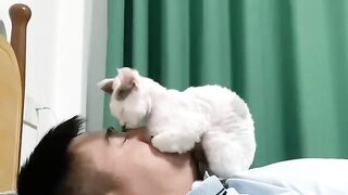 Cat Taking Over the Dog's Food Bowl! 4