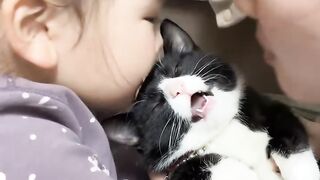 Cat Sneaking Up on a Toy Mouse! 4