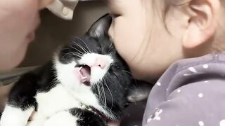 Cat Trying to Fit in a Tiny Shoe! 3
