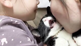 Cat Sneezing 5 Times in a Row! 4