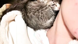 Cat Obsessed with a Cotton Swab! 4