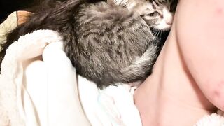 Cat Meowing "Hello"! Talking Pet! 4
