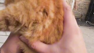 Cat Hating the Smell of Coffee! 3