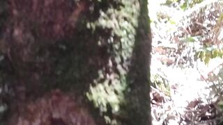 Are These Claw Marks From a Bear or a Panther?