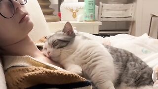 Relaxing Cat Purring Sounds for Sleep 💤 5