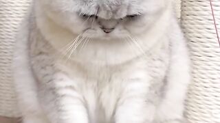 So cute 50