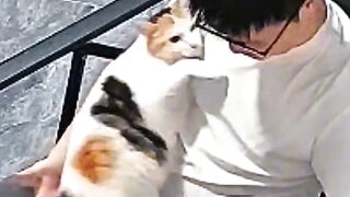 Cat Hates the New Vacuum Cleaner! 5