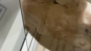 Cat Wakes up Owner at 4 AM! 5