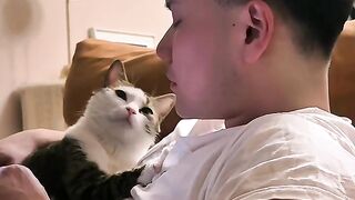 Cat Begging for Ice Cream! 🍦 5