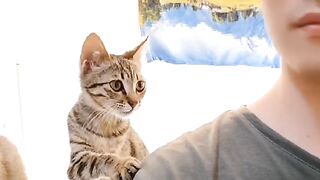 Cat Trying to Catch Snowflakes! ❄️ 10