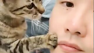 Cat Stealing Owner's Socks! 5