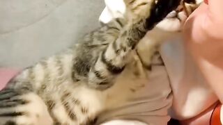 Cat Smelling a Lemon! 😂 5