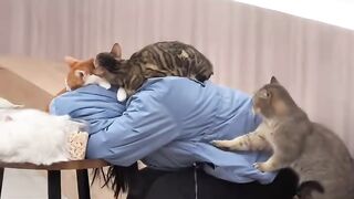 Cat Trying to Drink from a Straw! 10
