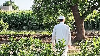 Quran majeed Islamic video 20