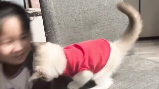 Cat Trying to Open a Cabinet Door! 4