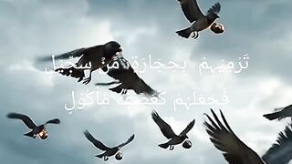 Quran majeed Islamic video 22