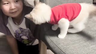 Cat Wearing a Tiny Winter Hat! 3