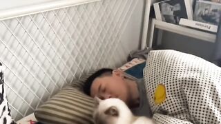 Cat Waking Up Slowly in the Sun! 4