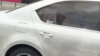 Cat Stealing the Dog's Bone! 7