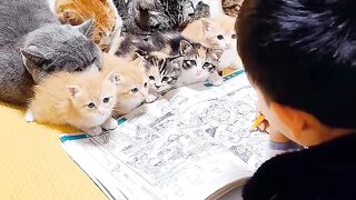 Cat Meowing "Hello"! Talking Pet! 6