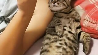 Cat Sings a Duet with Owner! 6