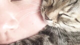 Cat Sneezing Fit in Slow Motion! 5