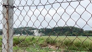 Airplane Landing at Airport