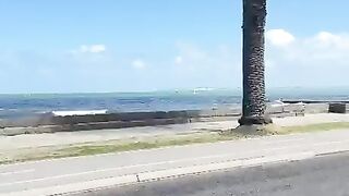Beautiful Ocean View With Palm Tree