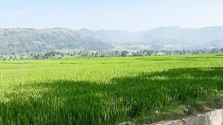 Natural view in Nanggulan